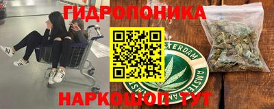 мдпв Славгород